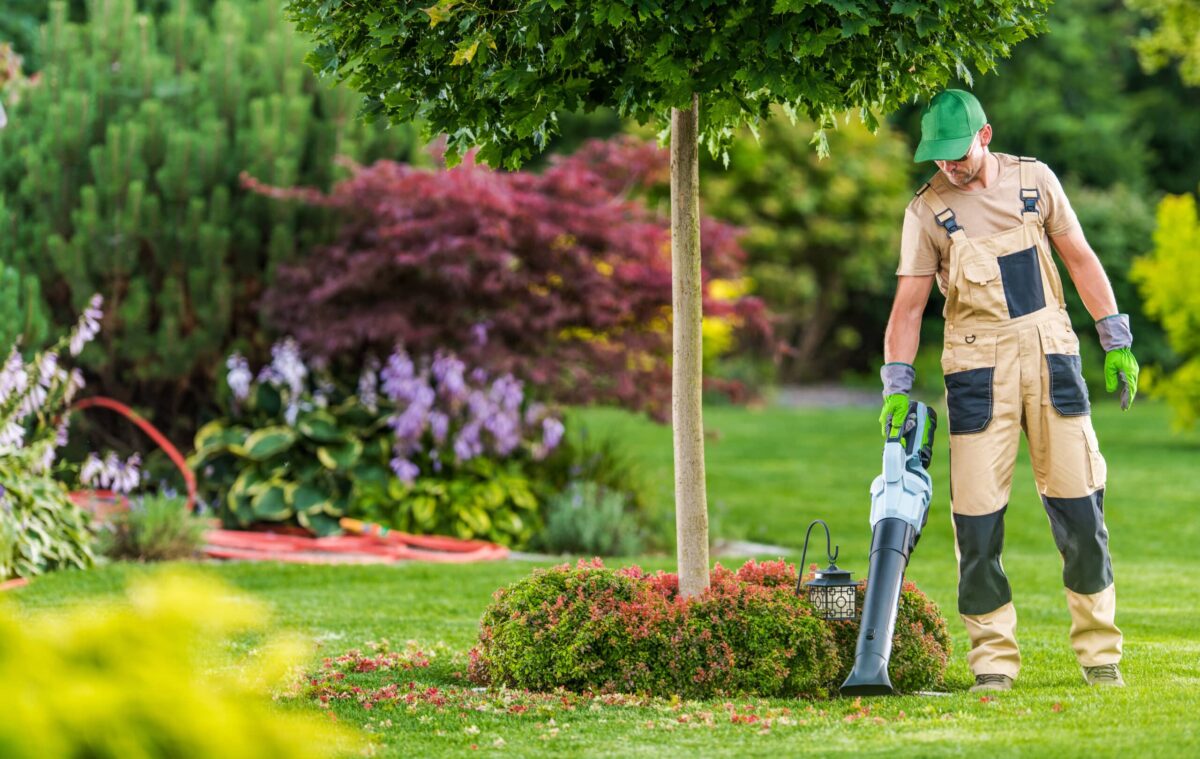 Yard Pro cleaning lawn